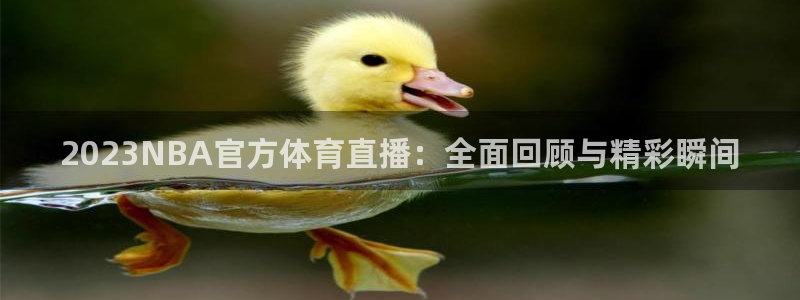 2023NBA官方体育直播：全面回顾与精彩瞬间