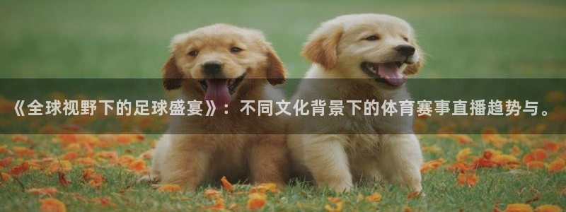 nba视频直播178：《全球视野下的足球盛宴》：不同文化背景下的体育赛事直播趋势与。