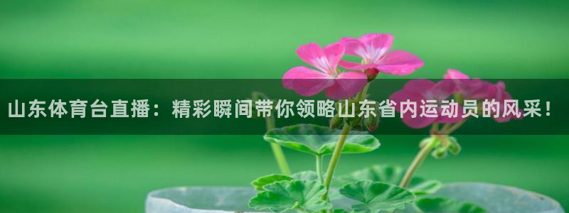 178足球免费直播：山东体育台直播：精彩瞬间带你领略山东省内运动员的风采！