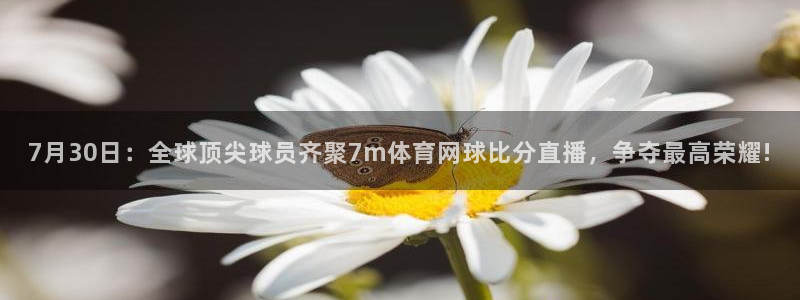178体育赛事直播免费观看：7月30日：全球顶尖球员齐聚7m体育网球比分直播，争夺最高荣耀!