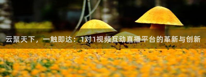 nba比赛直播178：云聚天下，一触即达：1对1视频互动直播平台的革新与创新