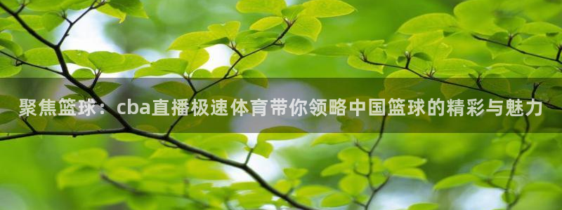 178足球赛事免费直播：聚焦篮球：cba直播极速体育带你领略中国篮球的精彩与魅力
