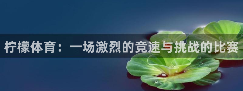柠檬体育：一场激烈的竞速与挑战的比赛