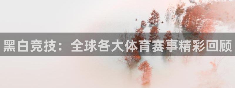 黑白竞技：全球各大体育赛事精彩回顾