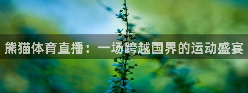 熊猫体育直播：一场跨越国界的运动盛宴