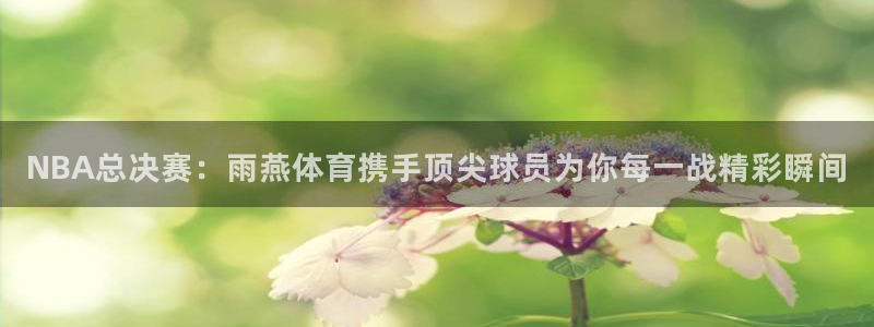 NBA总决赛：雨燕体育携手顶尖球员为你每一战精彩瞬间