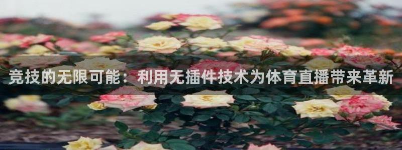 竞技的无限可能：利用无插件技术为体育直播带来革新