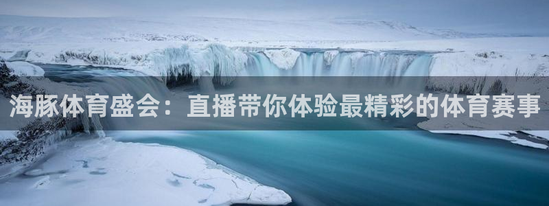 海豚体育盛会：直播带你体验最精彩的体育赛事