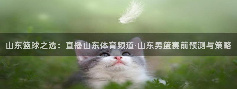 山东篮球之选：直播山东体育频道·山东男篮赛前预测与策略