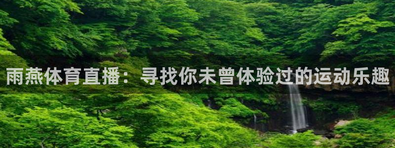 178直播篮球：雨燕体育直播：寻找你未曾体验过的运动乐趣