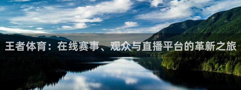 178直播体育直播：王者体育：在线赛事、观众与直播平台的革新之旅