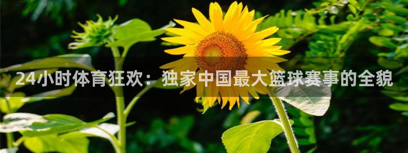 178直播体育足球在线观看高清：24小时体育狂欢：独家中国最大篮球赛事的全貌