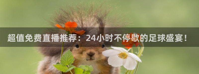 178直播解读：超值免费直播推荐：24小时不停歇的足球盛宴！