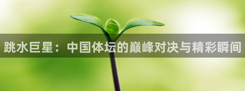 178直播(无插件)直播极速体育：跳水巨星：中国体坛的巅峰对决与精彩瞬间